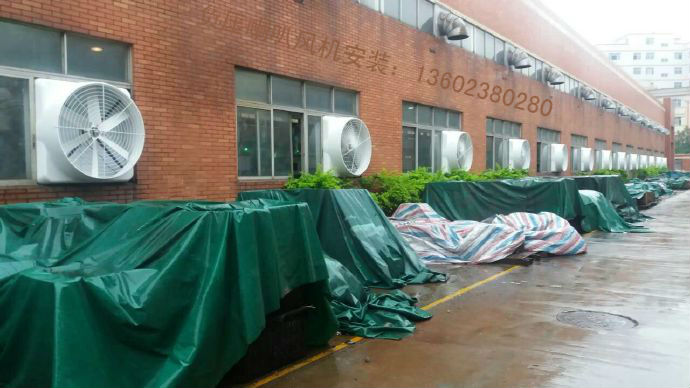 蜜柚APP官网
