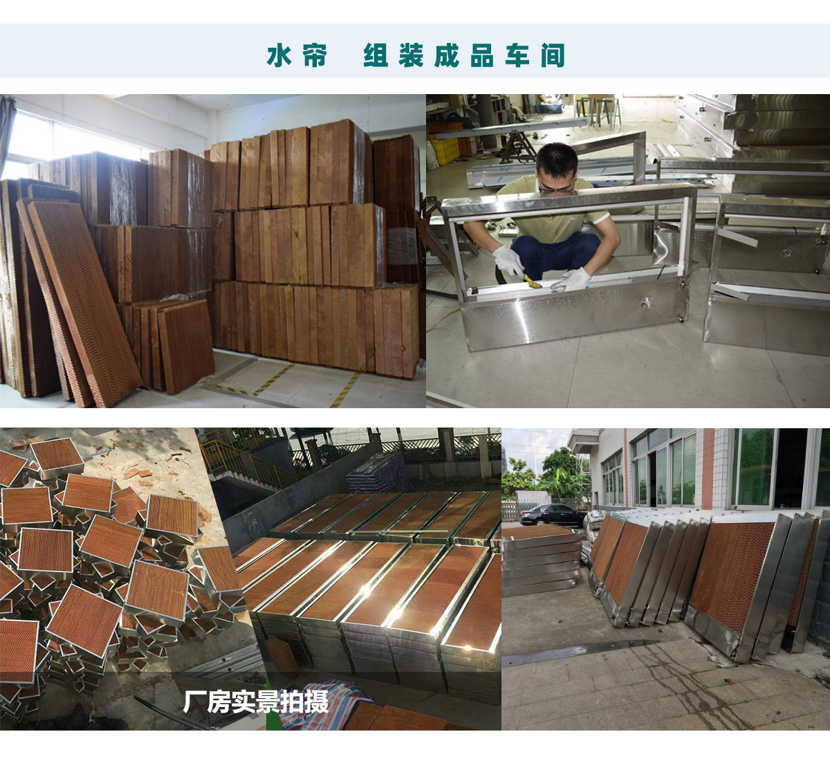 东莞茶山蜜柚APP官网，多年保养经验，车间降温